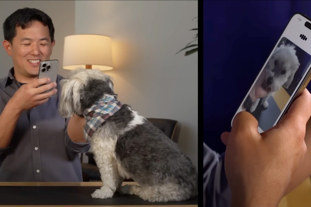 Hombre usando la función 'Live Camera' de ChatGPT en su móvil para analizar la imagen de un perro con pañuelo, demostrando la capacidad de la IA para interpretar el entorno en tiempo real.